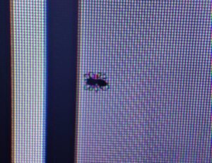 Мёртвые или застрявшие пиксели