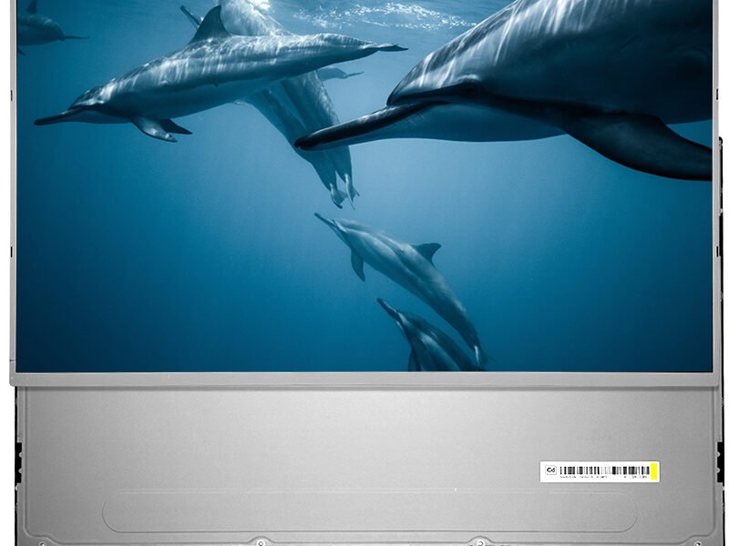 23.8-Inch FHD Industrial LCD Display Module - High-Contrast 3000:1, 1920x1080 Pixels, Dual-Channel LVDS Interface