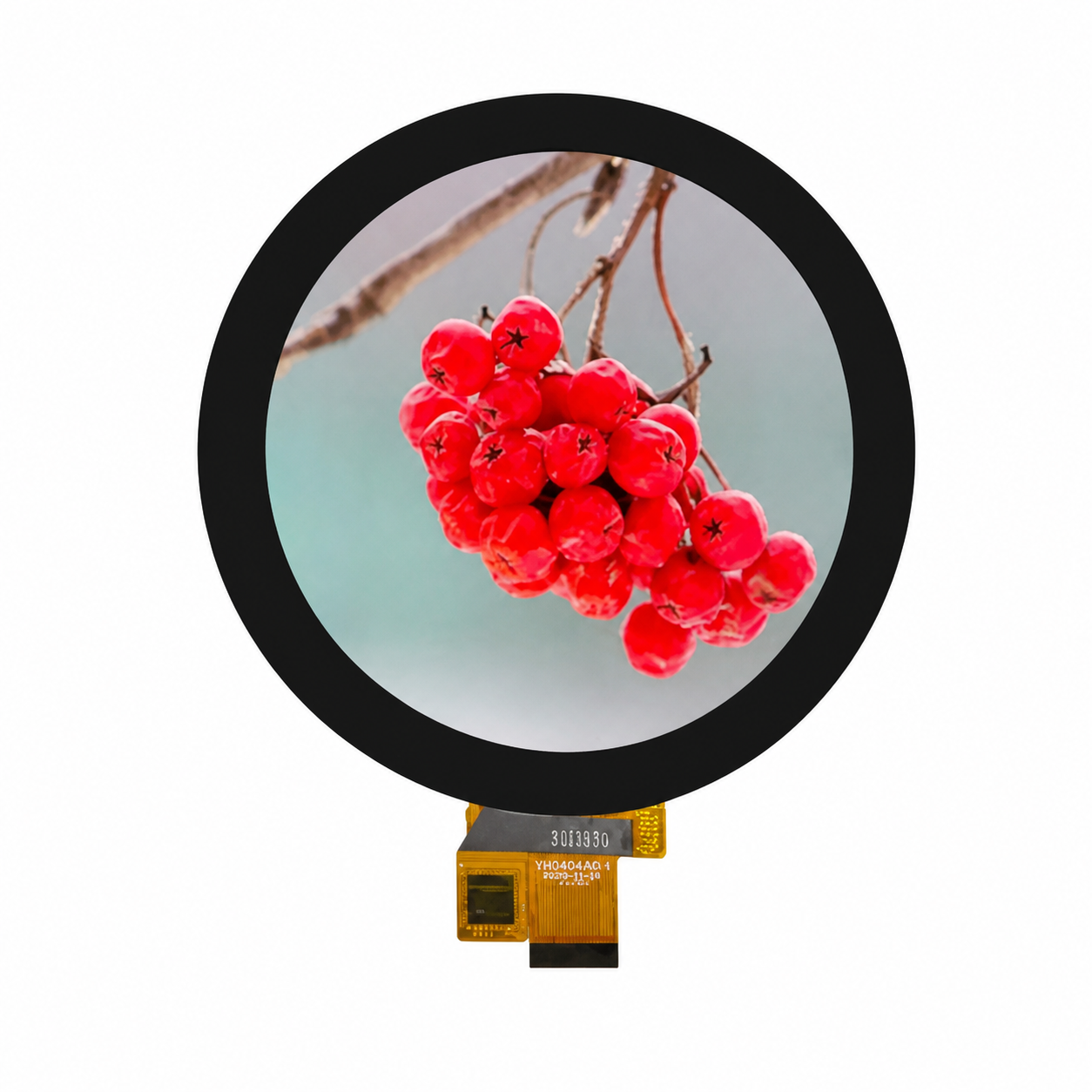GX040R-30MB-A1-CTP Display Module